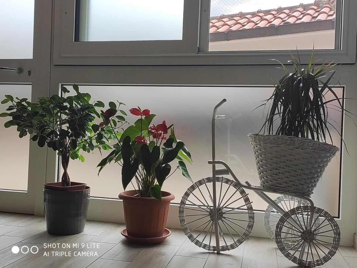 Bed and Breakfast Il Labirinto Sulmona Zewnętrze zdjęcie